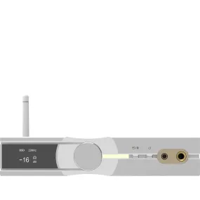 iFi Audio NEO iDSD DAC & Headphone Amp