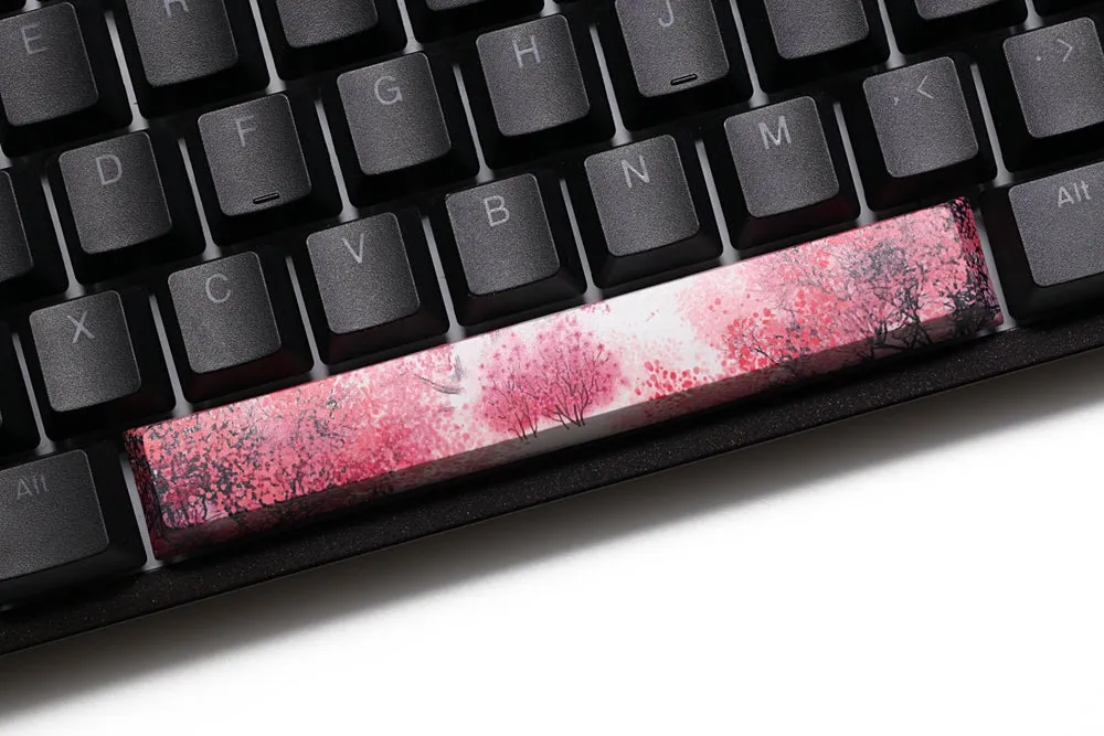 Novelty allover dye subbed pbt Keycaps spacebar for custom mechanical keyboard