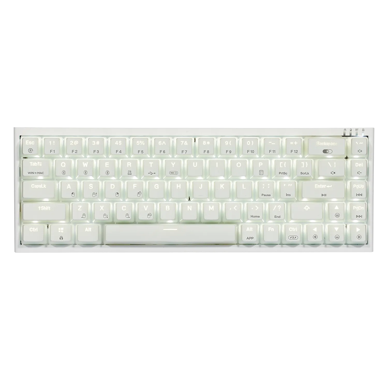 PowerBlade X1 Pro Wireless 65% Mechanical Keyboard