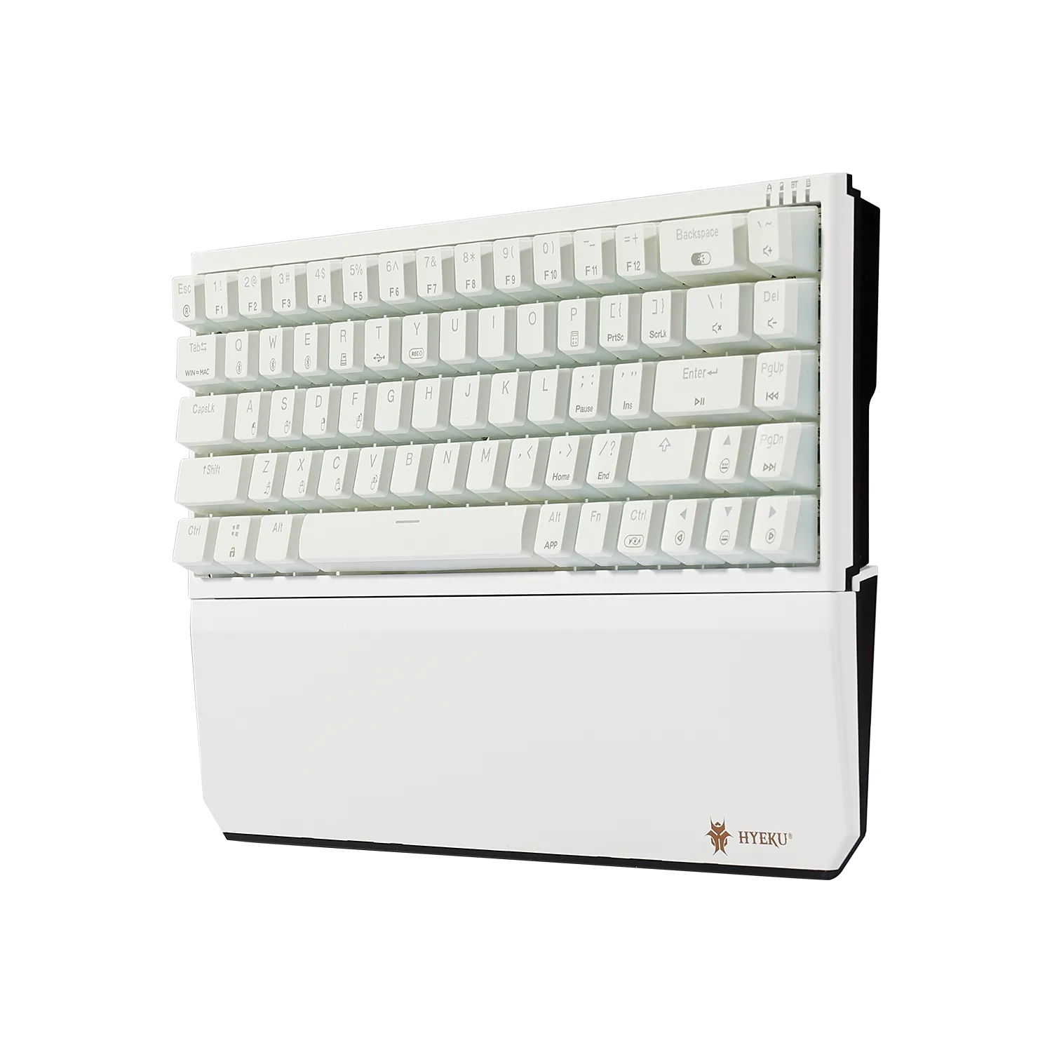 PowerBlade X1 Pro Wireless 65% Mechanical Keyboard