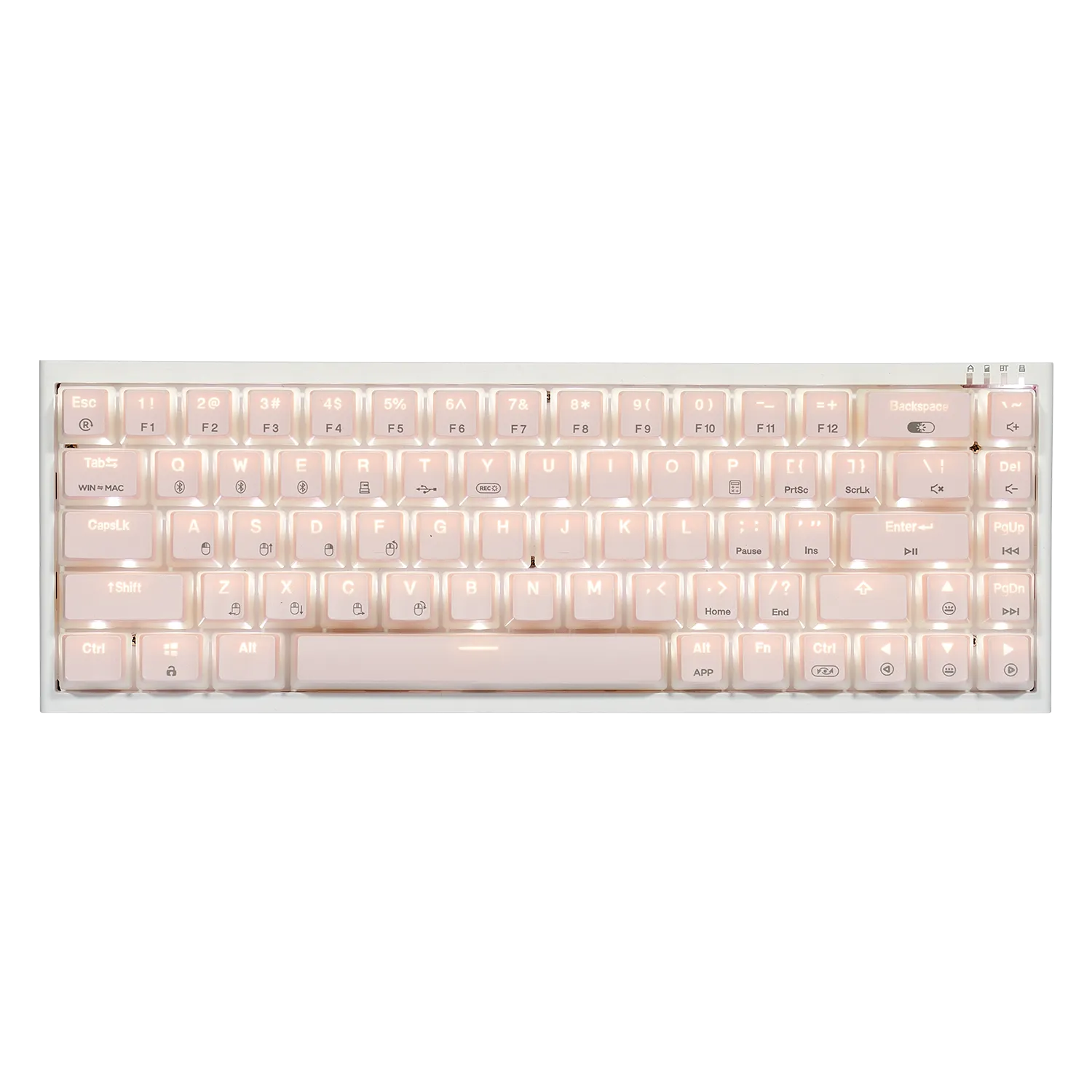 PowerBlade X1 Pro Wireless 65% Mechanical Keyboard