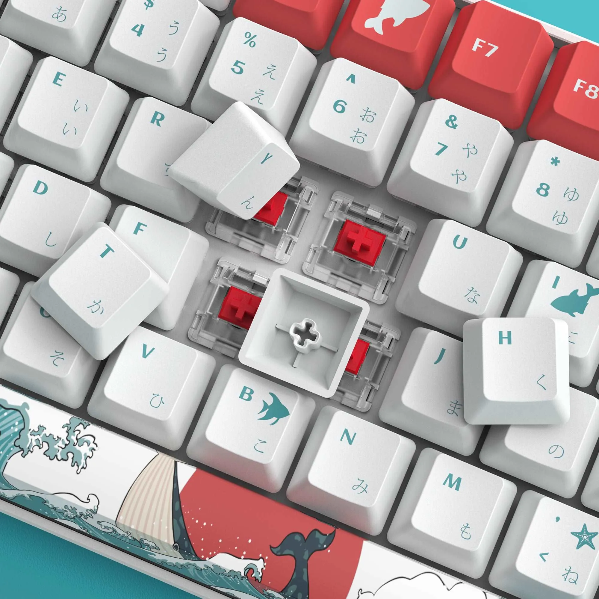 XVX Coral Sea/Kanagawa Cherry Profile Dye-sub PBT Keycap Set (132-Key)