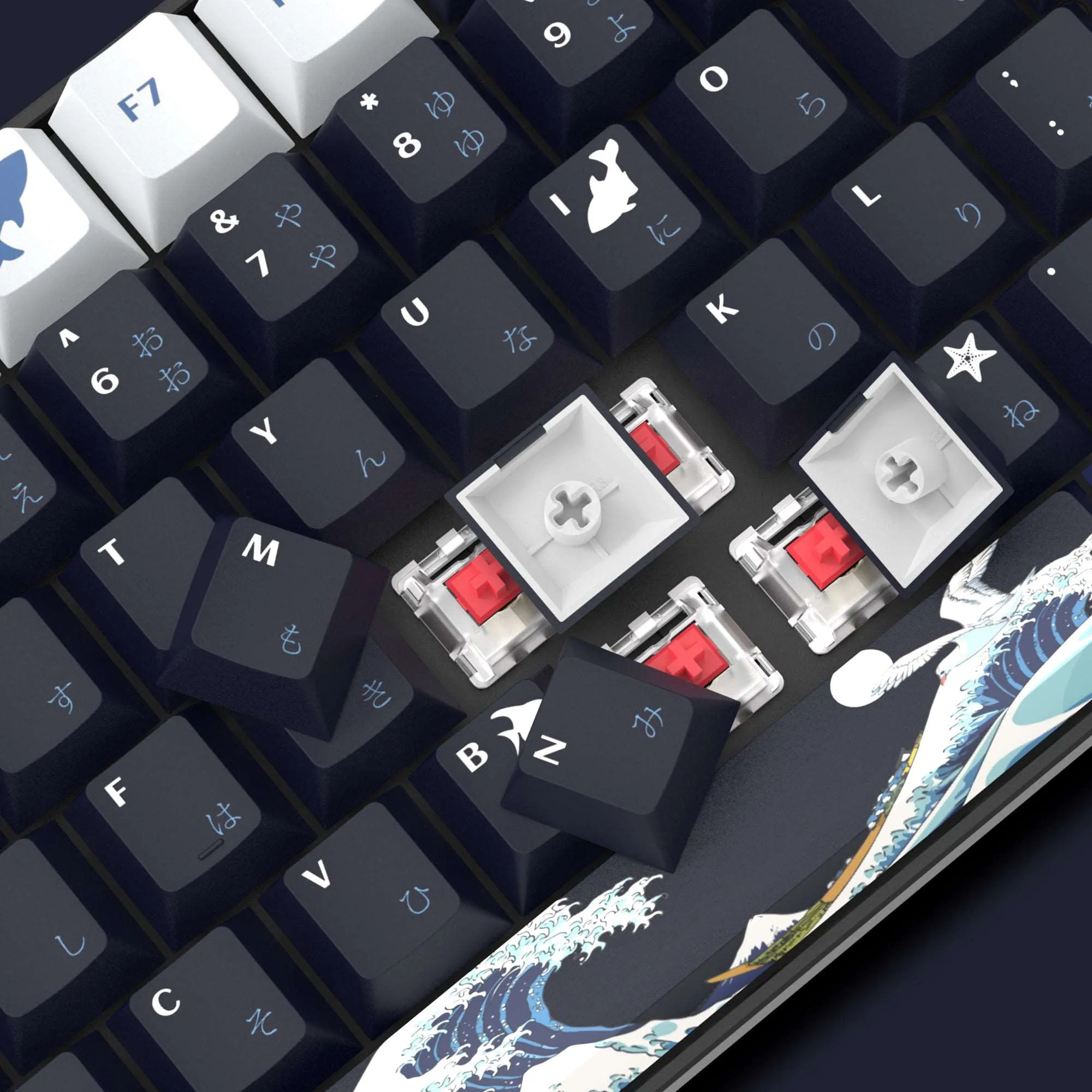 XVX Coral Sea/Kanagawa Cherry Profile Dye-sub PBT Keycap Set (132-Key)